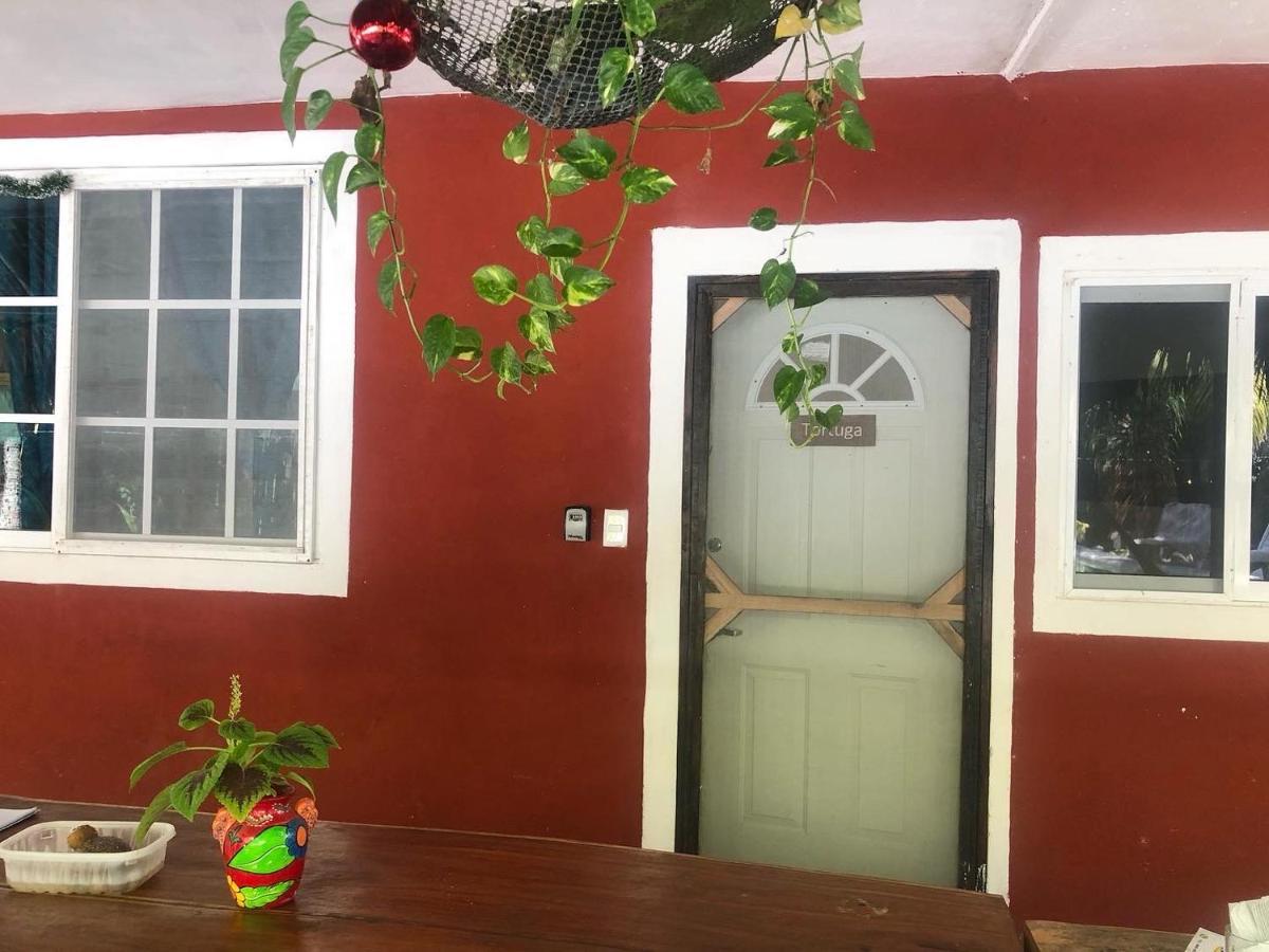 Habitacion Tortuga Casa Maria Bonita El Cuyo Ngoại thất bức ảnh