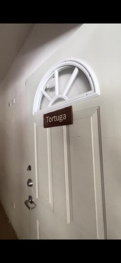 Habitacion Tortuga Casa Maria Bonita El Cuyo Ngoại thất bức ảnh